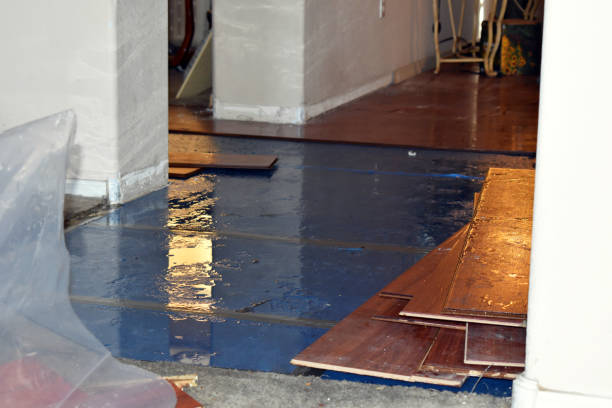 Professional Emergency Water Damage Restoration technician working in Lakebay, WA